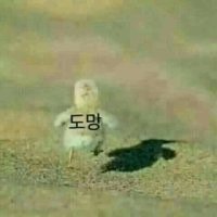 MinA____Lee's tweet photo. @yi_mo11245 https://t.co/Ix1j6RESxd
