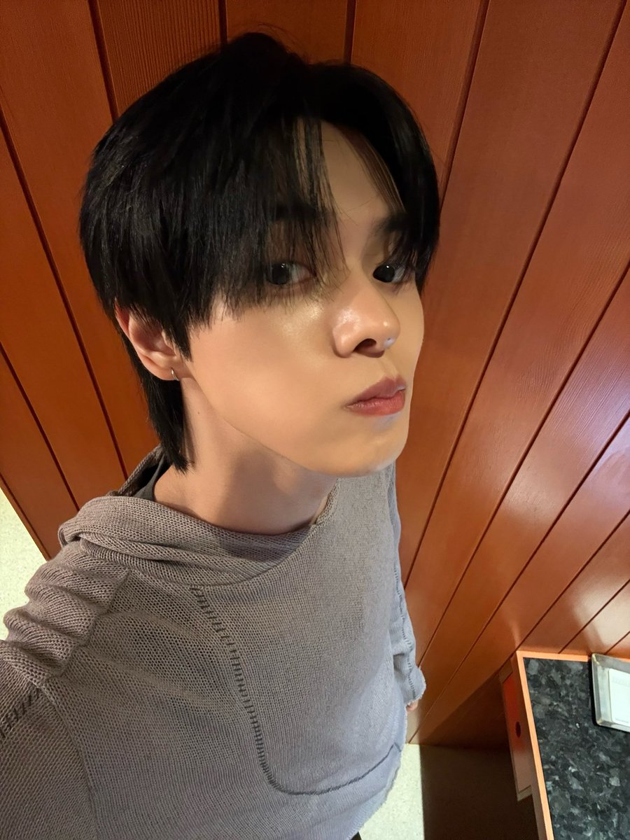 _luvyoutenderly's tweet photo. 와 개이뻐 내 고양이,,,ㅠㅜㅠㅜㅠ https://t.co/Woq10lfaRG