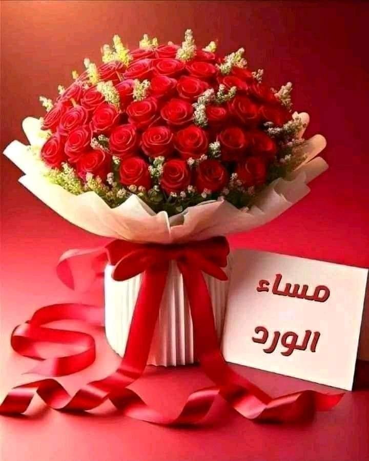 MsbahJ27611's tweet photo. @mkwylyl53827083 دخيل جمالو منووره عزيزتي https://t.co/SNX2XqKWql