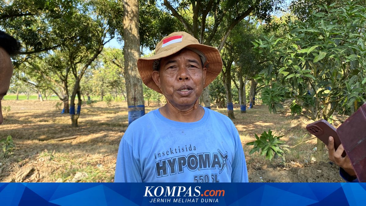 kompascom's tweet photo. Dilema Petani di Lobener Lor Indramayu: Air Ada tapi Sawah Kekeringan https://t.co/COywuW2jME https://t.co/Dim7K2wRES