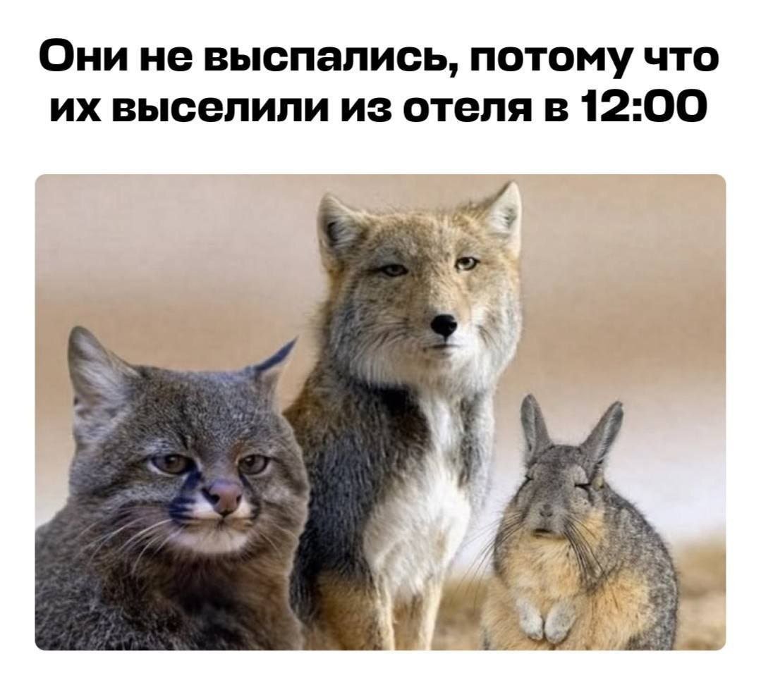 juliamayko's tweet photo. https://t.co/Y5N7LX8ZIL