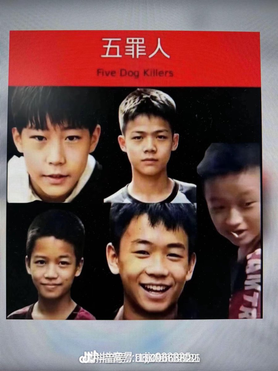 yeonhs96's tweet photo. @cnnbrk #JusticeForWangWang https://t.co/C8C6ySz2a6
