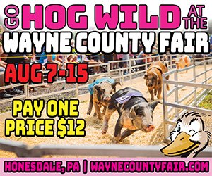WayneCoFairPA's tweet photo. Only 4 days until opening day, this Friday August 7th through the 15th!  We can't wait to see you all in beautiful Honesdale PA!  https://t.co/bFD6uCXBb5 https://t.co/TGWVCWwR1N
