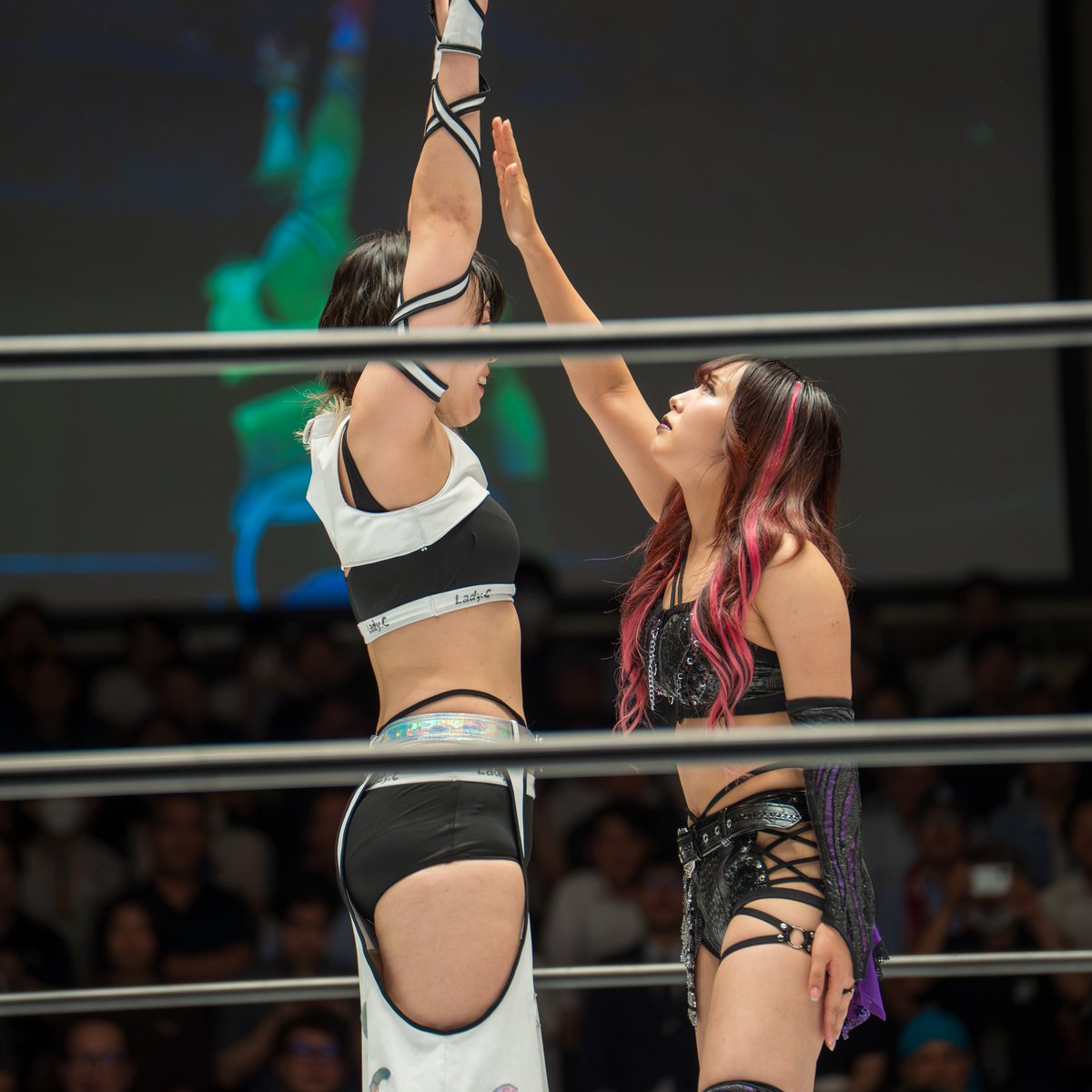 Shadow_K_'s tweet photo. #STARDOM
#5stargp
#稲葉あずさ
#レディC https://t.co/E371jYoFiJ