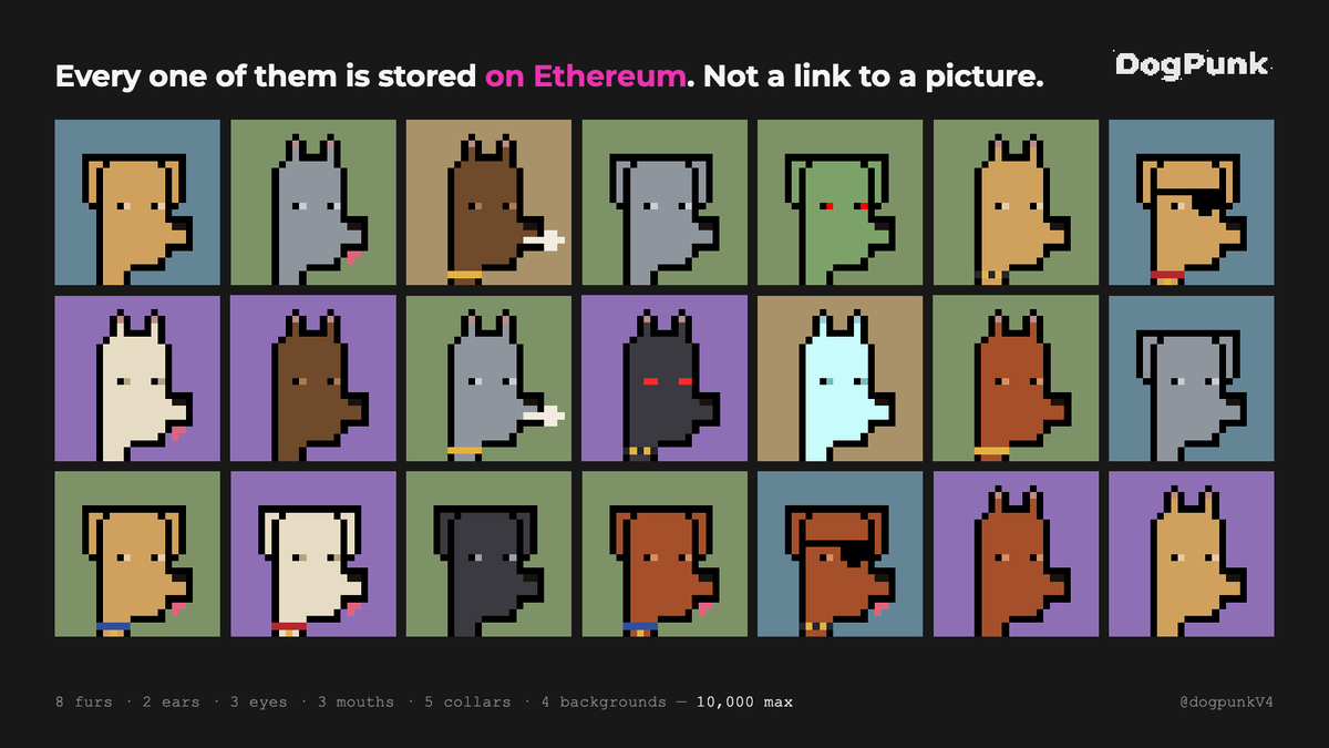 dogpunkV4 tweet picture