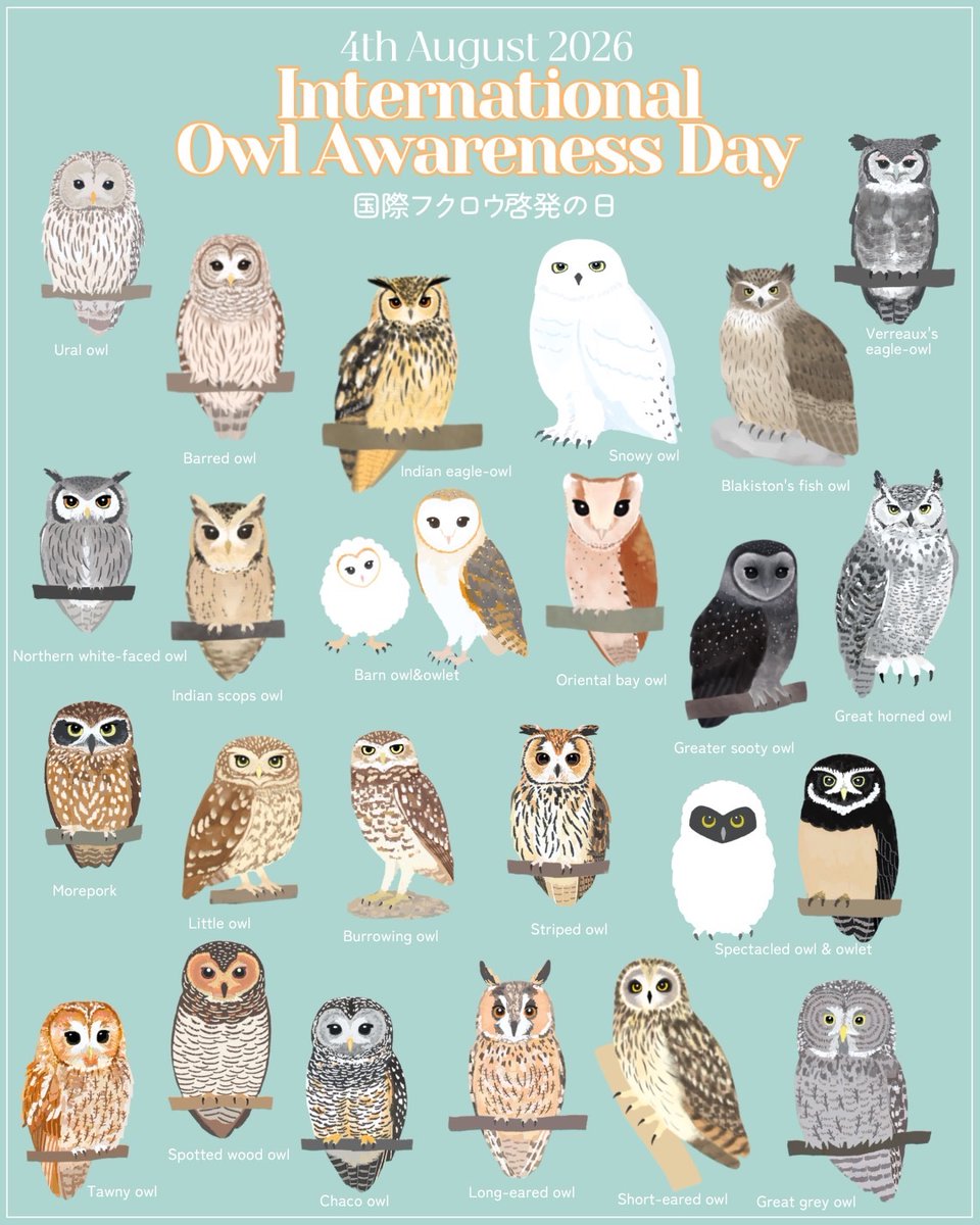 YoriTSUKIKAWA's tweet photo. 8月4日は国際フクロウ啓発の日🦉

4th August
International Owl Awareness Day! https://t.co/JbRymcAQWk