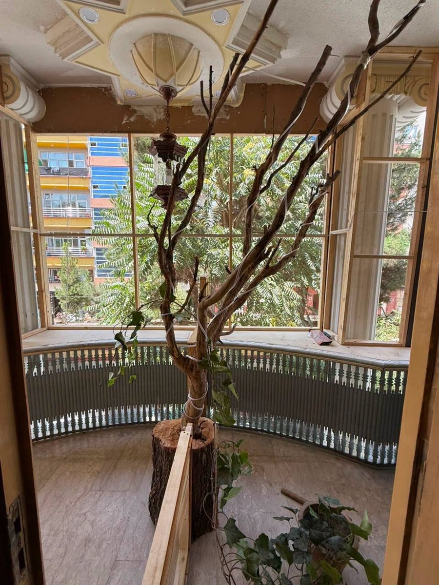 KSARshelter's tweet photo. 🐰 We have gotten the structural bones and design of the sex segregated 🐰 enclosure mostly complete--the photos don't show the entire area, and there are some cool den features they'll be putting in as well (you can't beat mud architecture for price!) so that they have more natural sleeping options and hiding spots. There's quite a lot that still needs to get put in place, and the main interior hallway isn't visible from here--so much 🐰 mansion left to explore 🙂
The paksha/mud+hay air-dried material, the same we used for the jackals, is warm and quiet and quite insulating, but it can take a couple days to dry fully. We've also got to put the finer 🦟 netting outside the strong screen material (as we do in all houses) to keep the 🦟 and sandflies out. It's marvelous to watch it come together. 
Thank you all so much for supporting this little project! These 🐰 will probably live with us most if not all of their lives and we want to give them a world to enjoy. 🙏