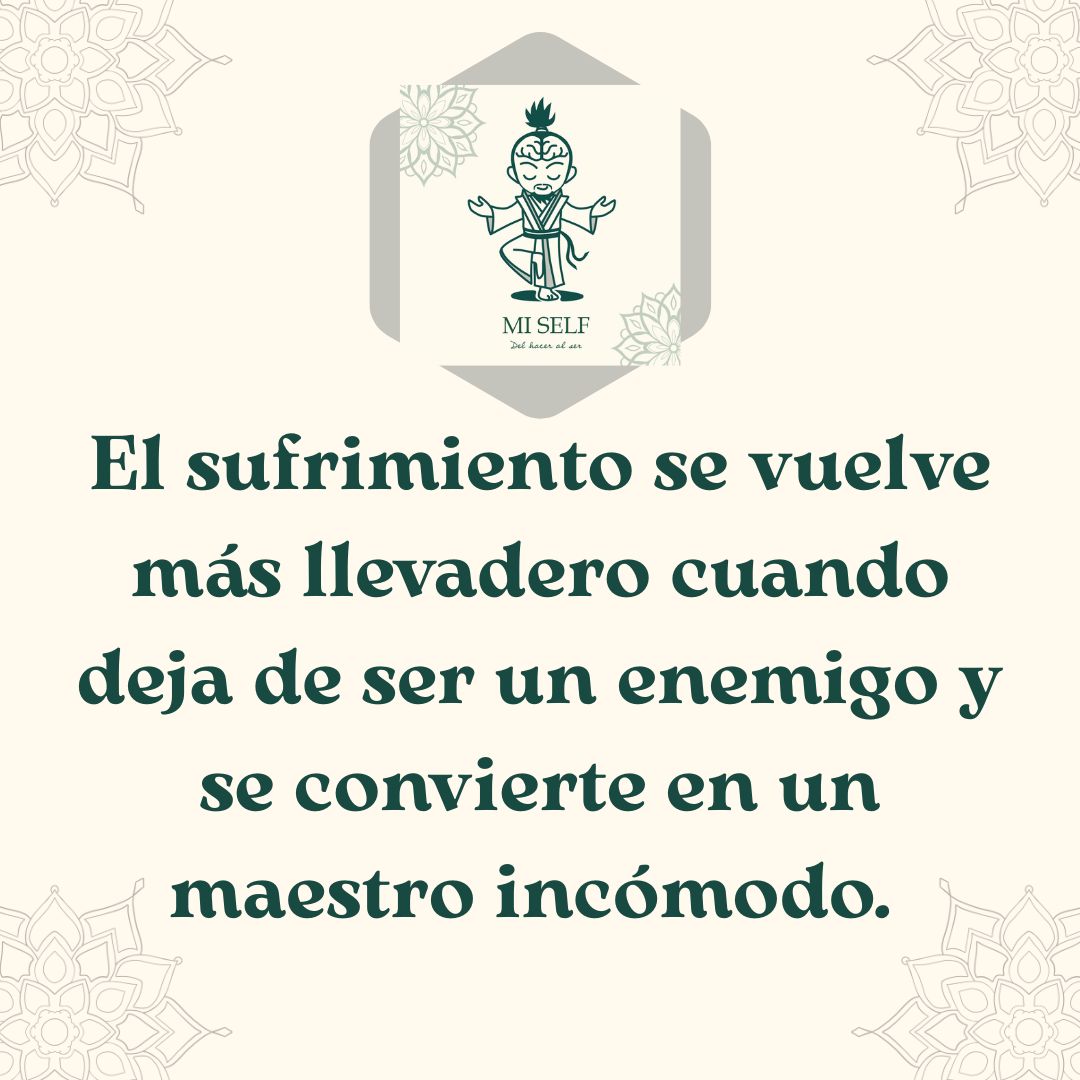 cham_manuel tweet picture