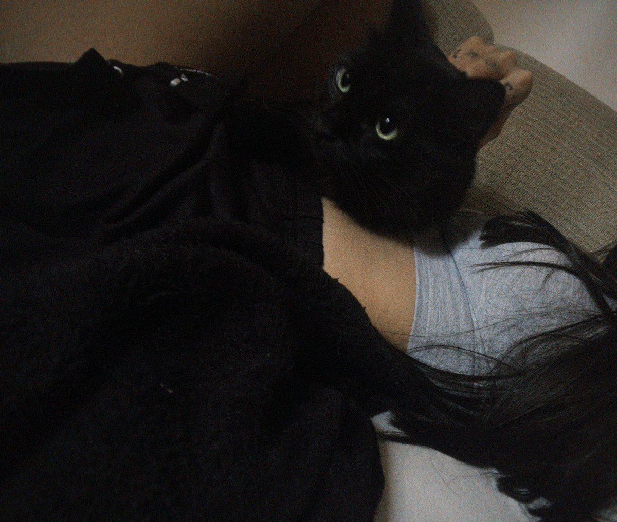 __whoisdd's tweet photo. La amo <3 https://t.co/jOpxEHwWNW