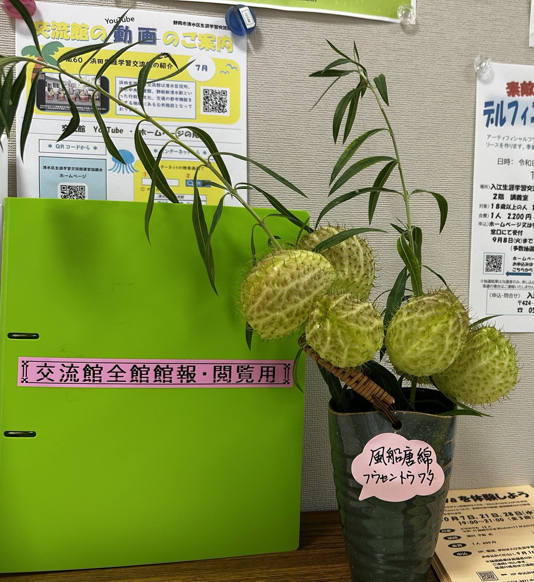 iriesgk's tweet photo. 入江生涯学習交流館のロビーを彩る『風船唐綿』。日ごとに姿を変えていく、その斬新な変化をぜひお楽しみください！ https://t.co/z9o0ZCOq9U