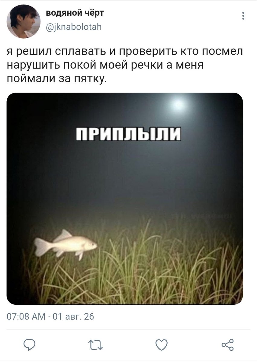 dolboebhunter's tweet photo. 4🐟 https://t.co/HW2UNEC1ij