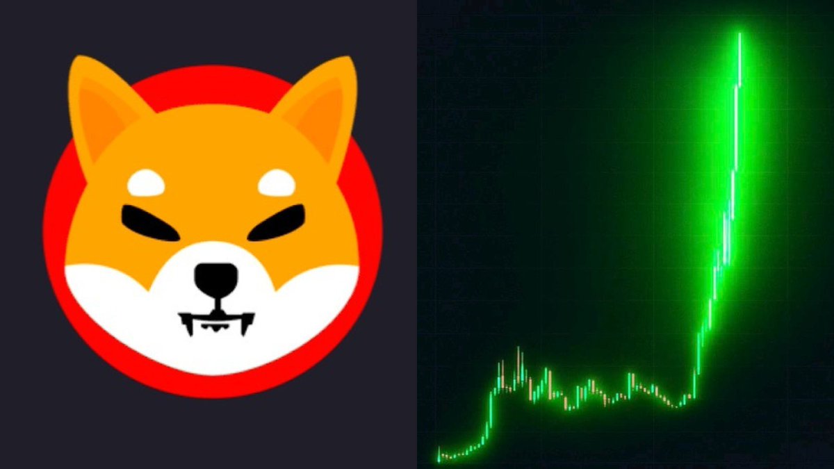 SHIBMortal tweet picture