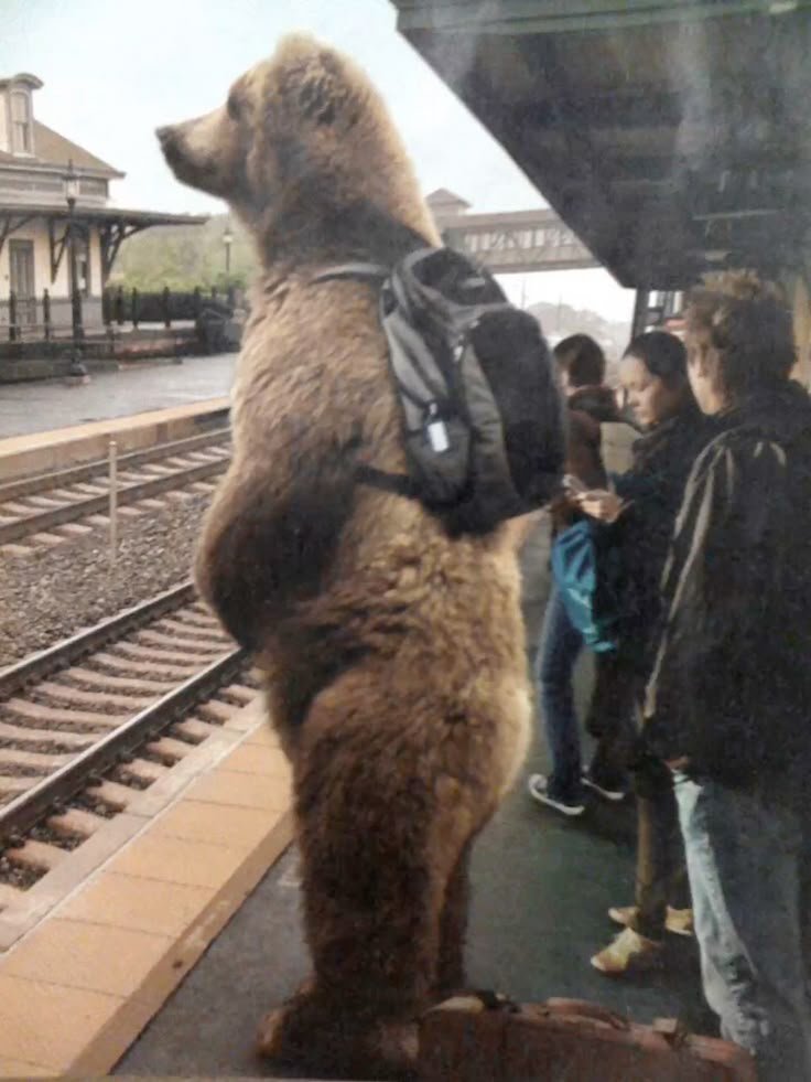 wItoshiSae's tweet photo. how college feels when u don't have a friend group https://t.co/RFqIaeE39W