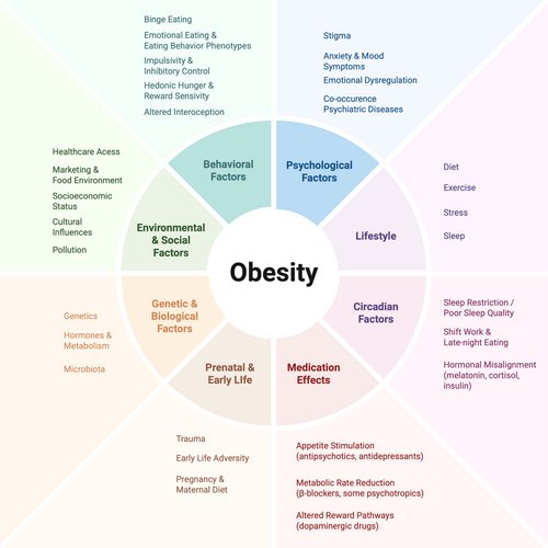 cristinatejerap's tweet photo. Si tratamos la obesidad sin mirar la salud mental es tratar a medias.

Perpectiva en Obesity Reviews: evaluación psicológica, reducción del estigma y consejo nutricional centrado en la persona no son el “extra” del tratamiento. Son parte del tratamiento.

🔗 https://t.co/D7gqUbkCWk