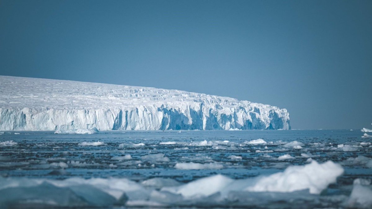 CRCpaleos's tweet photo. CARACOLES NAVEGANTES
Hace 8 millones de años pequeños moluscos lograron expandirse por el océano Austral cruzando miles de kilómetros sobre las algas a la deriva
📰 https://t.co/KNGdv6hVPH
vía @ecoticiasRED
#Mioceno #Moluscos https://t.co/gb8zD2I7uV