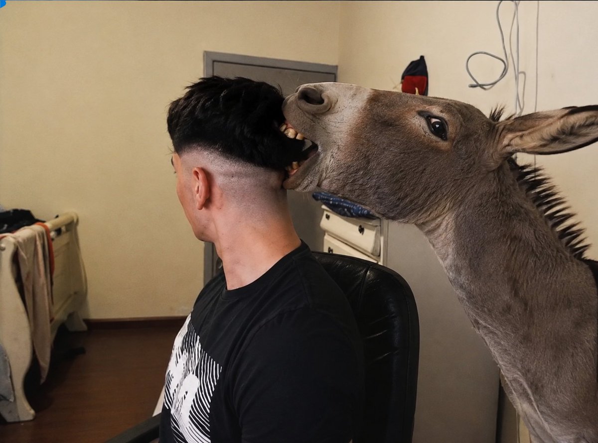 zF1F4's tweet photo. Como se llama ese corte carnal? @Shifu1x https://t.co/ZJEOI277QJ