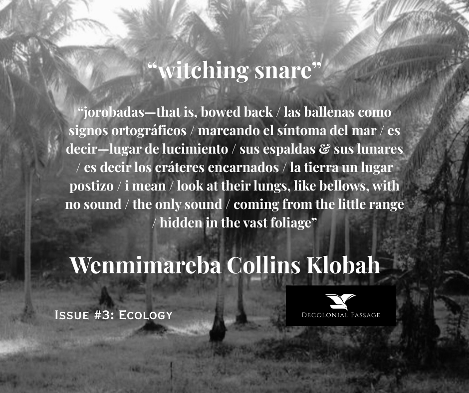 DecolonialP's tweet photo. Whales, ferns, moss, small leafy plants. Read the "witching snare" poem by Wenmimareba Collins Klobah @WK_Collins. https://t.co/inFlILBYky https://t.co/GbZNQQ1fpn
