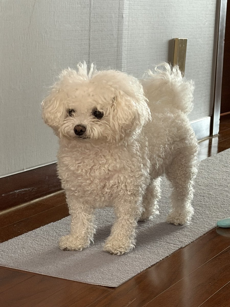danna__0224's tweet photo. 언니방 순찰 오심 https://t.co/jlP47SCDPP