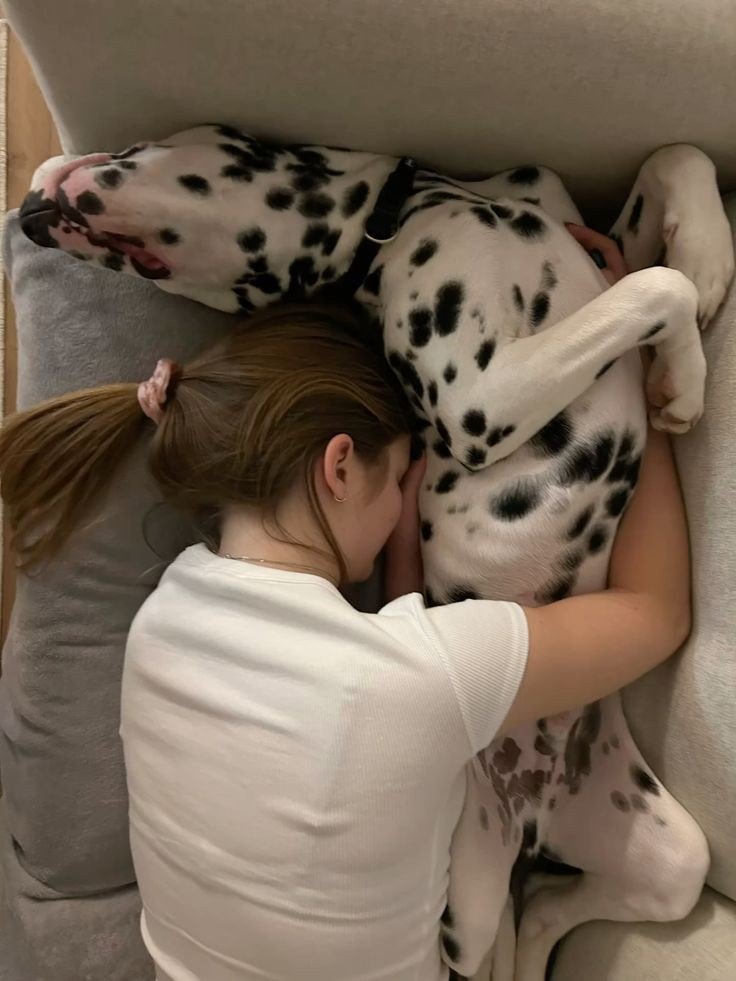 michelipaws's tweet photo. Come vibe with my dogs 🐾
Best fun + real bonding moments
Only here — Subscribe!

https://t.co/WTY8FZ4ugv https://t.co/9fSofcSYSe