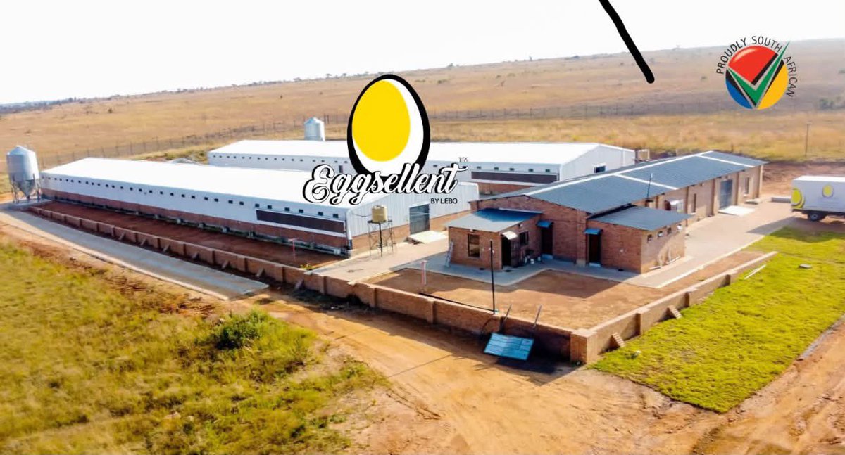 GCISMpumalanga's tweet photo. Young Farmer Empowered Through State-of-the-Art Poultry Infrastructure

HAPPENING TODAY | 10:00

The MEC for Agriculture, Rural Development, Land and Environmental Affairs, Ms Khethiwe Moeketsi, will today conduct a handover ceremony of a multi-million-rand, state-of-the-art, fully automated poultry layer infrastructure to young entrepreneur Lebo Mashego in Kwaggafontein, Thembisile Hani Local Municipality.

Built by the Mpumalanga Provincial Government and the National Empowerment Fund, the facility is aimed at empowering young people, strengthening agricultural production and creating sustainable economic opportunities in rural communities.

📍 Kwaggafontein | Thembisile Hani Local Municipality
🕙 10:00

#Mpumalanga #Agriculture #YouthEmpowerment #PoultryFarming #EconomicEmpowerment #RuralDevelopment #WomenEmpowernment #womenmonth2026 #MpumalangaTheProvinceThatWorksForAll