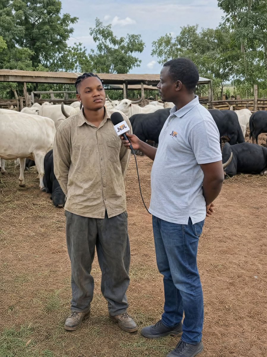 localboyyy's tweet photo. Interviewer: How much milk does your cow produce?
Farmer: Which one, the black one or the white one?
Interviewer: The black one.
Farmer: 2 litres per day.
Interviewer: And the white one?
Farmer: 2 litres per day.

Interviewer: Your cows look healthy. What do you feed them?
Farmer: Which one, the black one or the white one?
Interviewer: The black one.
Farmer: Grass.
Interviewer: And the white one?
Farmer: Grass.

Interviewer: (Annoyed) But why do you keep asking if it’s the black one or the white one when the answers are just the same?
Farmer: Because the black one is mine.
Interviewer: And the white one?
Farmer: It’s also mine.
