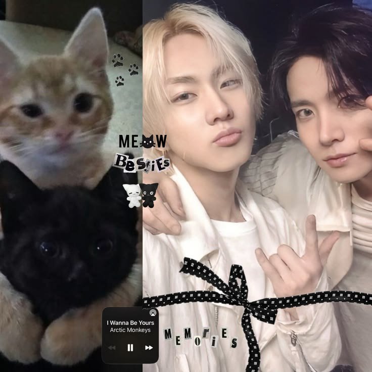 heehoon7777's tweet photo. всем доброе утро, котята, хорошего дня и прекрасного настроения, обязательно покушайте, ни о чем не грустите, я с вами, вчера не успела на ваши коммы ответить к интерактивам, на все отвечу сегодня 🙂‍↔️🤍

#SEVEN_AETERNUM_LOVE
#WE_PROTECT_THE_BOND_OF_7 https://t.co/RThpXX3phS