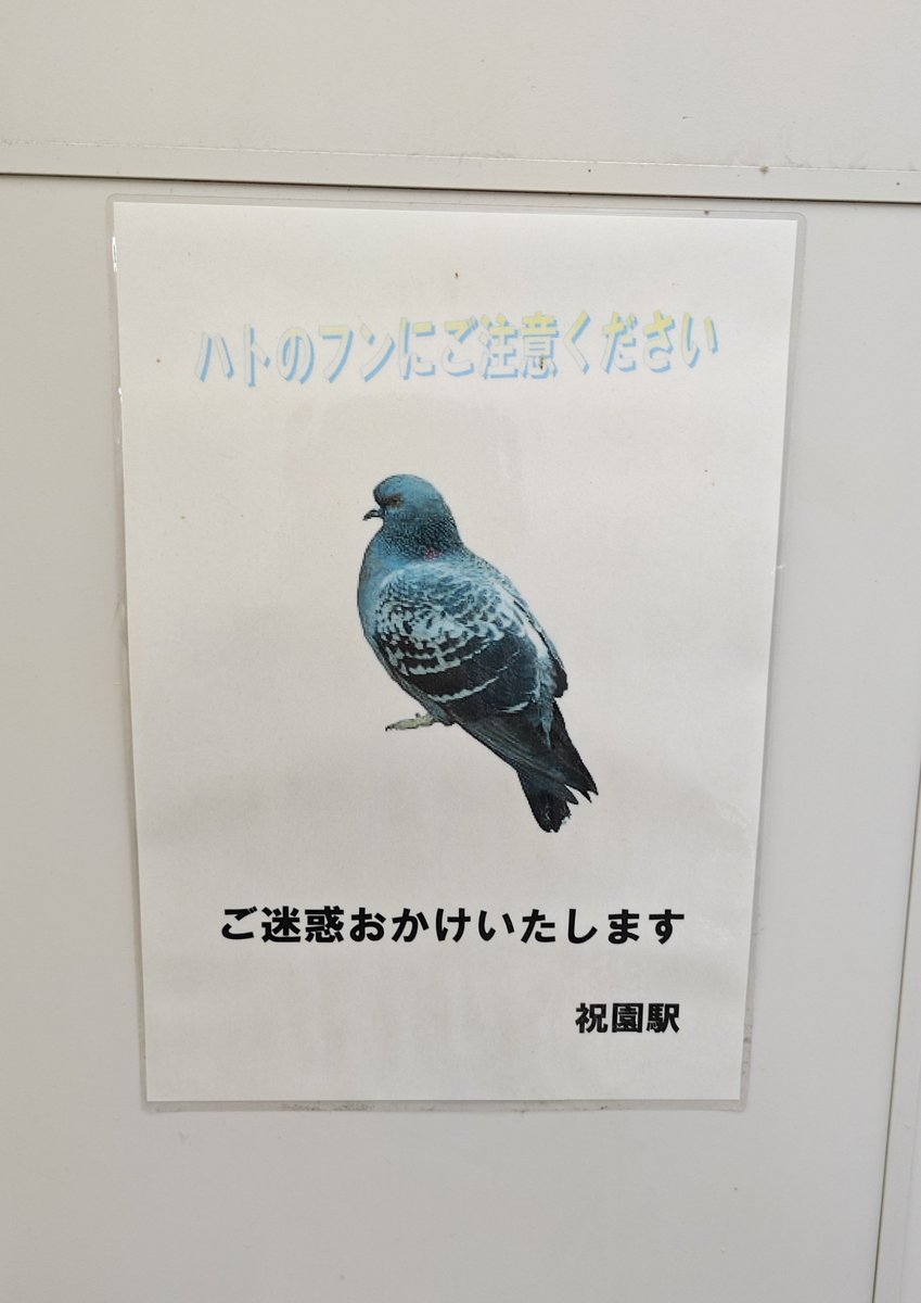 miea_pc tweet picture