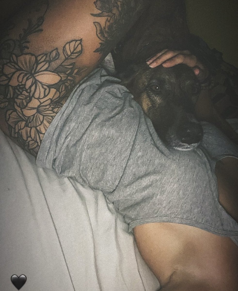 Jaunslut's tweet photo. Are you a k9 lover? My dog goes deeper inside me on cam 📷🐶🐕🔞 DM Via telegram 
https://t.co/K6KxGUQzi8
#zoosarevalid #beastiality #zoopride #dogknot #zooprideisvalid #zoophile #k9girl #hypnotistzoophilesarevalid #zoophiletwt #zootwt #zoopositivity #dogknot #grope https://t.co/hyAA4Dt0xL
