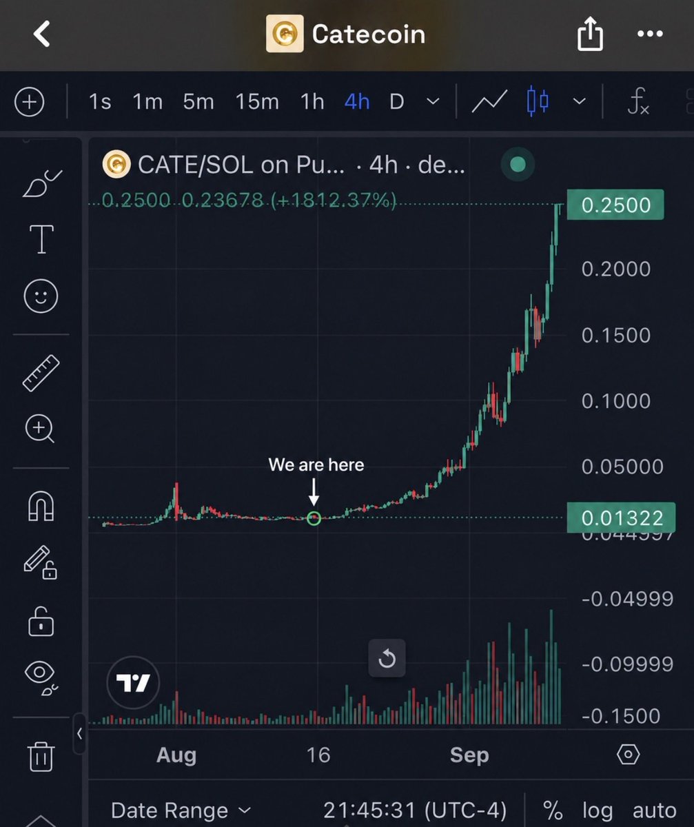 0xCornswabble's tweet photo. I can see the future. 

Can you? 

$CATE https://t.co/4eu8kGe1j0