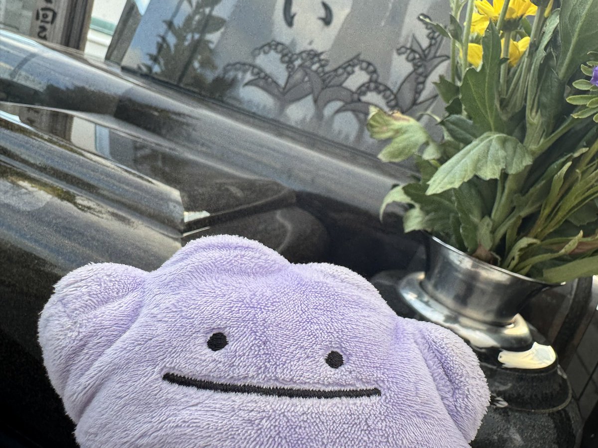 metamon_tabi's tweet photo. #メタモン
#ポケモンfit
#青春18きっぷ
\ﾓｫﾓﾝﾓ👴🏻👵🏻🫶🌻/ https://t.co/FJmVZrYYjs