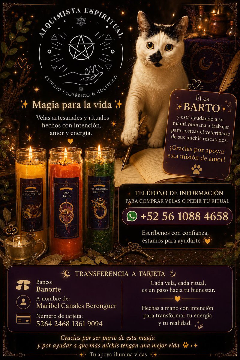_sopitadefideos's tweet photo. holi, el gatito de mi amiga Mar, Barto, está muy malito y necesita tratamiento 🥺 

Mar hace rituales y velitas; si les interesa contratarla, además de llevarse algo bonito, estarían ayudando directamente con su tratamiento 🔮 💜 💫 https://t.co/OkdxGDzFsS