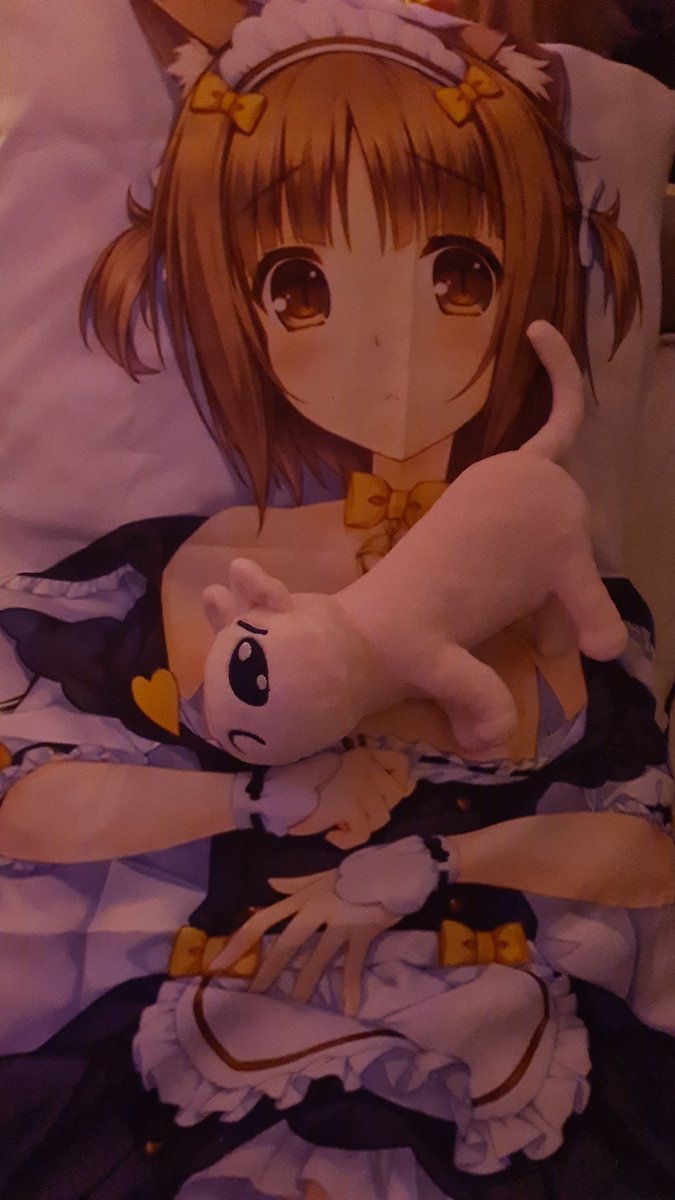 serenelamb's tweet photo. WAAH SHES SO CUTE (sorry my phone has poop quality) 
Featuring pchan that @jbndzs gave me 🐑🍮💭 https://t.co/wucqL5LpZv
