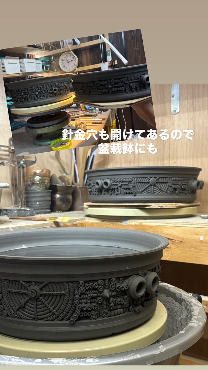 月光堂【 爬虫類シェルター制作所】 (@tsukinohikari32) / Posts / X