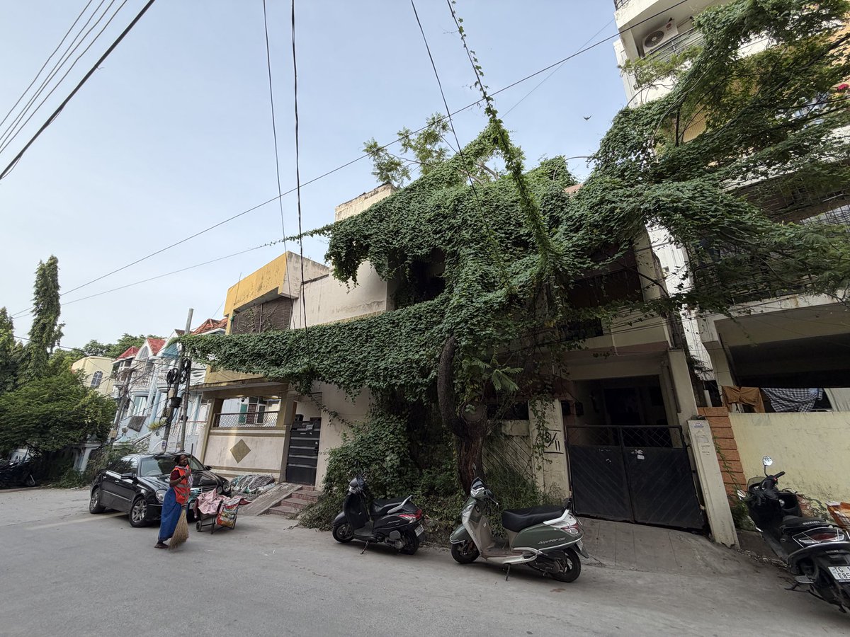 mmali77's tweet photo. @GHMCOnline @CommissionrGHMC @ZC_Khairatabad @aimim_karwan1 Urgent attention register complaint. Overgrown tree is endangering electric cables and cracking damaging house 9-4-86/81/10/11/1 Salarjung Colony Tolichowki. It is serious risk. Immediately take action to cut and clear. https://t.co/8H09xDq9Sy