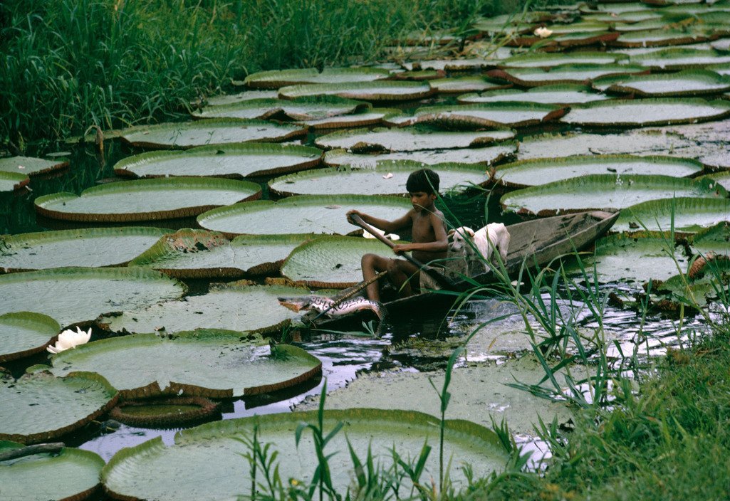 rodrigodaseiva's tweet photo. Fotografia do Bruno Barbey no Rio Amazonas (1966) | https://t.co/TJFAujdZ27