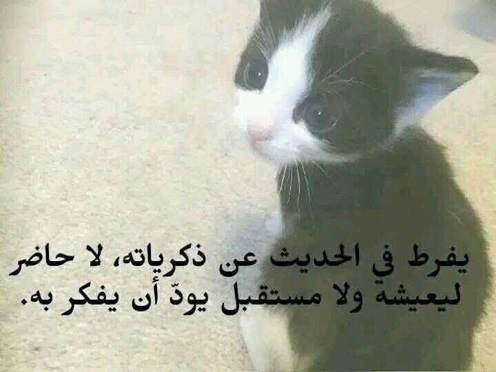 fata_hal's tweet photo. https://t.co/AskKcK3AGz