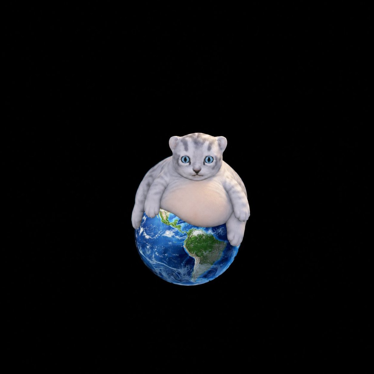 bellycatonsol's tweet photo. The $BELLY keeps growing non-stop https://t.co/KEoM5gmEWo