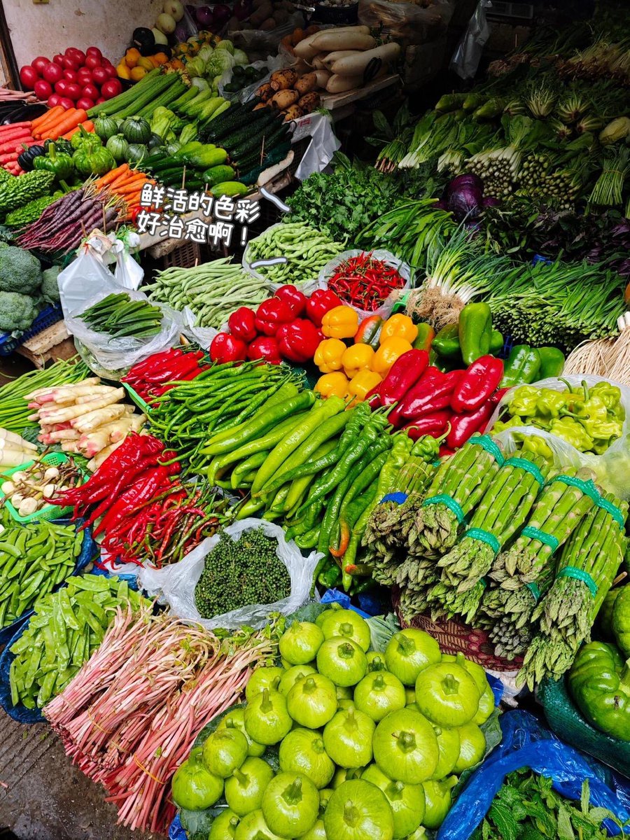 DamianScallon's tweet photo. Fresh, local seasonal veggies just hit our kitchen! Crisp spinach, juicy tomatoes u0026 sweet bell peppers—perfect for tonight’s healthy stir-fry. Stop by the market stall for your fresh picks! https://t.co/fxF1IHmz9p