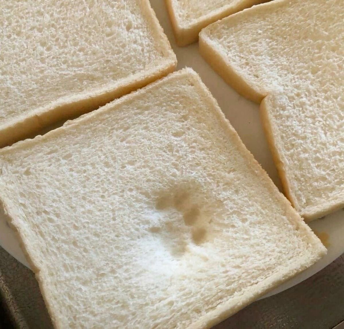 hauntedlarp's tweet photo. “who stepped on the bread!?”      “i did! >///<“ https://t.co/cZGG2iTRpR