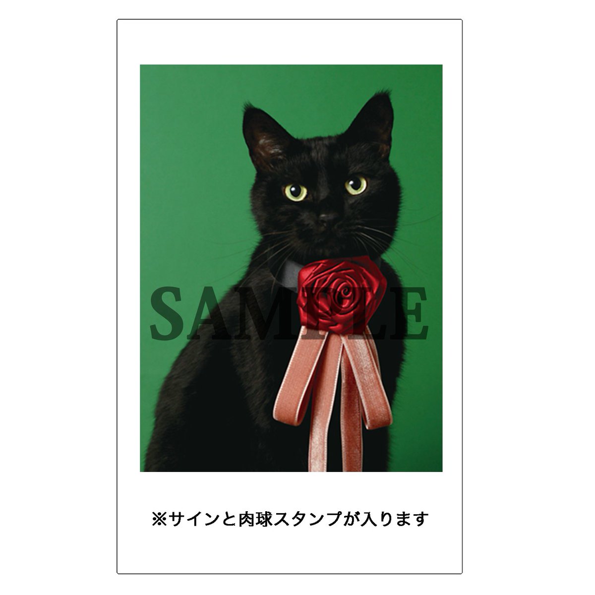 黒猫 Precious Memories サイン入り 木野聡子 | Akiko Kino on X: 