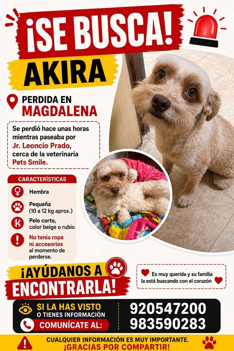 Paola310's tweet photo. Se busca en Magdalena https://t.co/C2mm8VmsS6