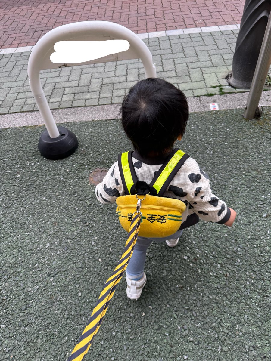 misak0929's tweet photo. うちの子のハーネスめちゃ可愛いし、工事現場の人とか反応くれる🥳 https://t.co/SII3ii8GE5