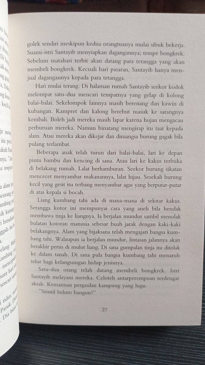zcienery's tweet photo. ahmad tohari yapping, hobinya mendeskripsikan latar suasana sebanyak satu setengah halaman wkwk (jadi kayak bayangin film yg cinematography nya bagus). ini kalau aku kulik bakal banyak banget pengetahuannya tentang alam. https://t.co/dYUlOrekXB