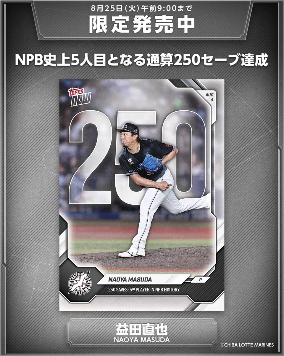 オーナーズリーグ 千葉ロッテマリーンズ まとめ売り バラ売り可