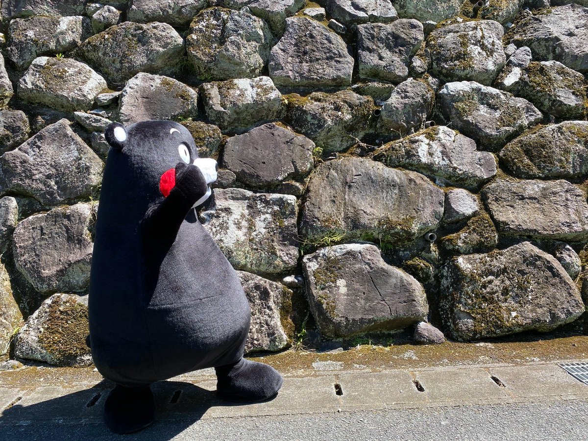 55_kumamon's tweet photo. おはくま～！毎日一歩ずつ､前に進むモン！ https://t.co/PiGhIUdSuP