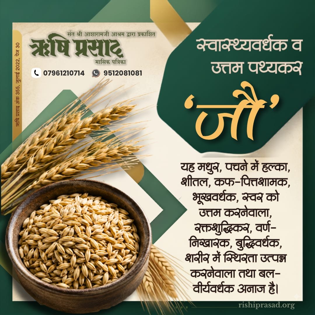 RishiPrasadOrg's tweet photo. स्वास्थ्यवर्धक व उत्तम पथ्यकर ‘जौ’
यह मधुर, पचने में हल्का, शीतल, कफ-पित्तशामक, भूखवर्धक, स्वर को उत्तम करनेवाला, रक्तशुद्धिकर, वर्ण-निखारक, बुद्धिवर्धक, शरीर में स्थिरता उत्पन्न करनेवाला तथा बल-वीर्यवर्धक अनाज है।
अंक 355, जुलाई 2022, पेज 30
#RishiPrasad
#AsharamjiBapu
#Barley https://t.co/wuJ6sx6kWy