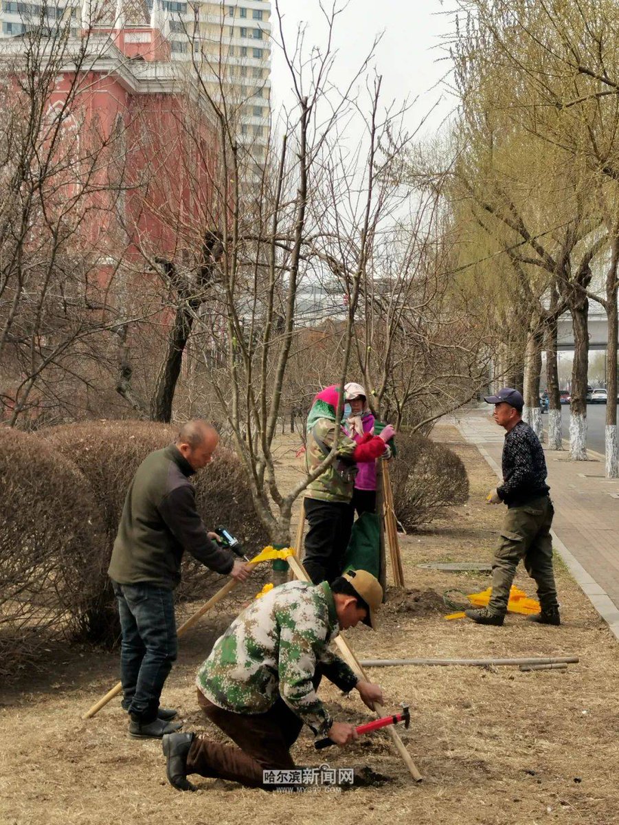 BURE130786's tweet photo. Join our weekend community garden clean-up this Sat, 9am at Oak Park! Bring gloves u0026 a water bottle—snacks provided. Let’s green our neighborhood together! https://t.co/RjssQm3z66