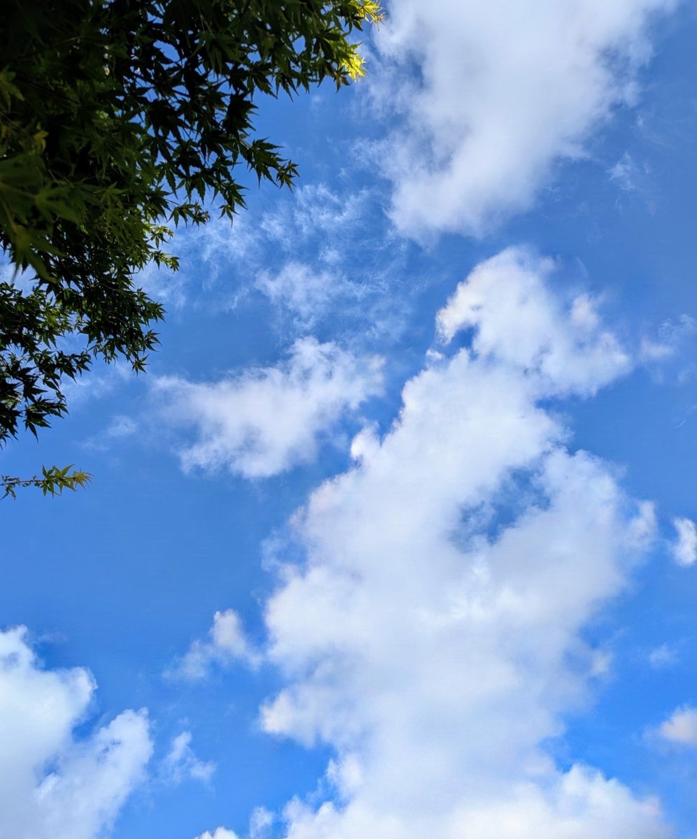 simplelife408's tweet photo. 今日の青空
きれいな青

今日一日貴方の色を纏い貴方の色に囲まれて
貴方への愛に溢れる日

貴方と同じ時代を過ごしていることに感謝して

改めておめでとうございます
中居くん
大好きだぞ！

#中居正広54回目誕生祭_0818 https://t.co/E8ydAOpxCD