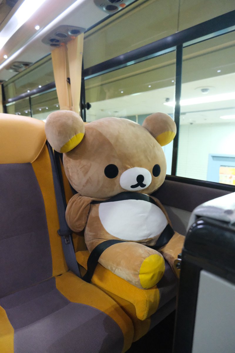 rilakkumaruuu's tweet photo. はとバスに乗ってきたよ🚌
リラックマ大丈夫？🤣
シートベルトの拘束感半端ない🤣 https://t.co/TwctLbA1l7