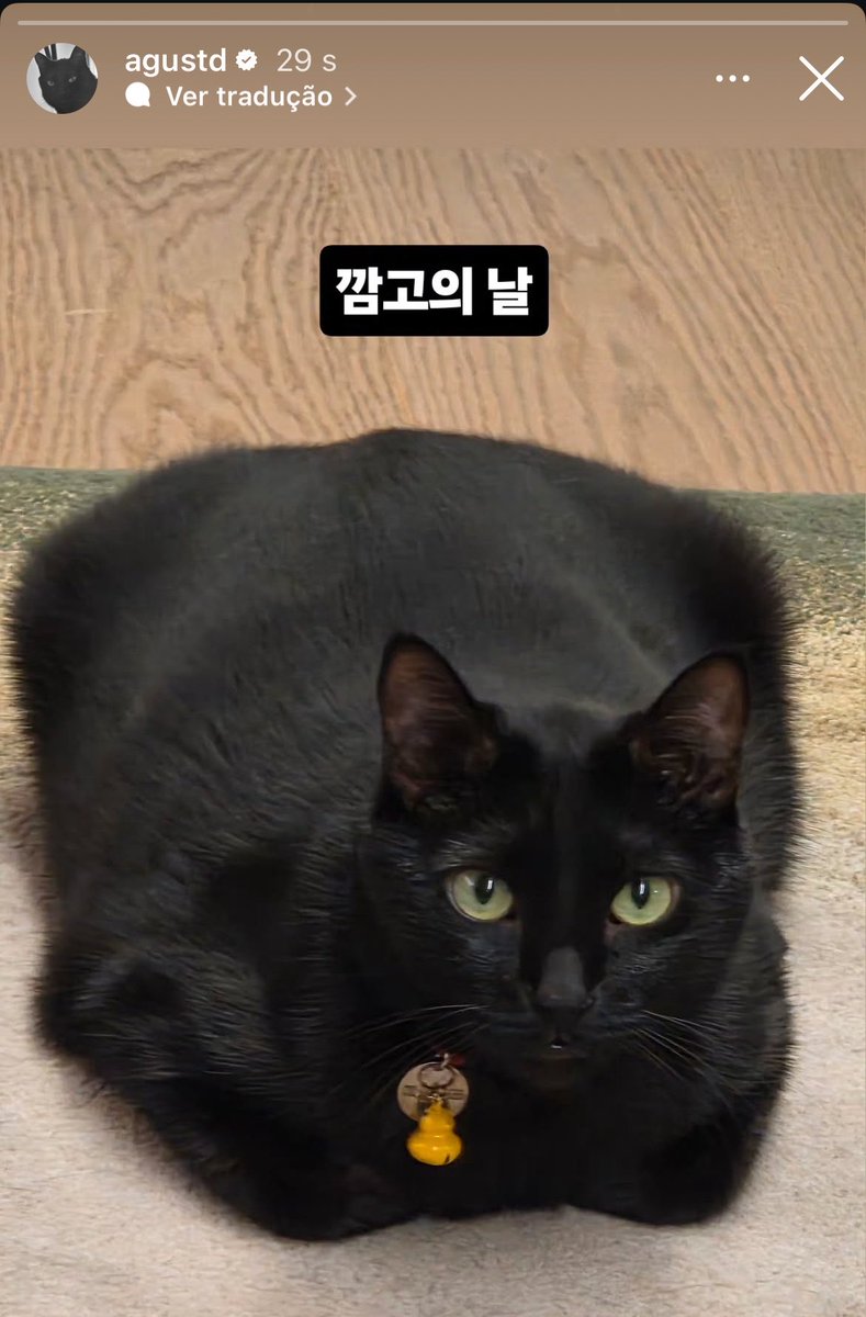 jm_dogs's tweet photo. YOONGI POSTOU UMA FOTO DO TANG😭

🐱: “Dia do gato preto” https://t.co/nLvX7nMbhV